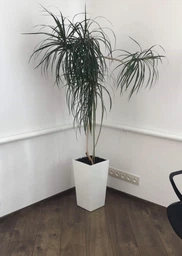 Розумний вазон Plastkon Elise 30 см коричневий 4111385072 фото від покупців 17