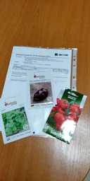Насіння Перцю Satimex Хабанеро шоколадний, 8 шт, Садиба Центр
