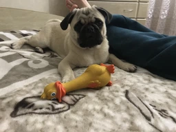 Каченя з оригінальним звуком Trixie 35474 20 см (4011905354743) фото від покупців 6