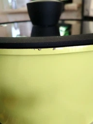 Каструля Ringel Zitrone Olive 2,5 л з кришкою 20 см RG-2108-20/OL фото від покупців 2