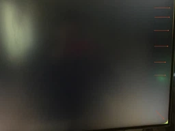 Монитор 31.5" LG UltraFine 32UD99-W фото от покупателей 1