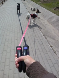 Поводок-рулетка AnimAll L до 50 кг, 5 м Серо-черный (2000981099268) фото от покупателей 16