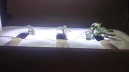 Сменный картридж Click&Grow Мини томат 3 шт (4742793007304) фото от покупателей 4