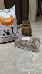 Влажный корм для кошек Purina Gourmet Gold Двойное удовольствие с кроликом и печенью в соусе (12х85г) фото от покупателей 7