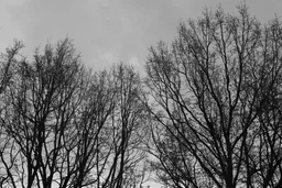 Фотоапарат Canon EOS 2000D BK 18-55 DC III (2728C007AA) фото від покупців 1