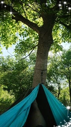 Гамак двухместный La Siesta Colibri Fuchsia (CLH20-7)