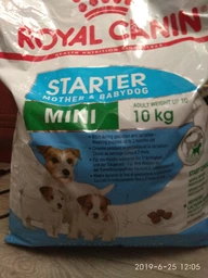 Сухой корм для собак мелких пород Royal Canin Mini Starter для беременности и лактации 1 кг фото от покупателей 7