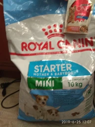Сухой корм для собак мелких пород Royal Canin Mini Starter для беременности и лактации 1 кг фото от покупателей 8