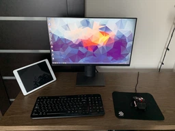 Монитор 23" Dell P2319H Black (210-APWT)