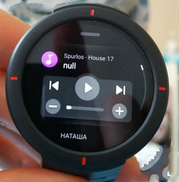 Смарт-часы Xiaomi Amazfit Verge Gray Global фото от покупателей 7