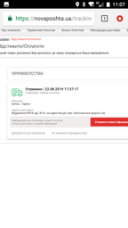 Штора-Серпанок однотонна з люрексом 3,00 м х 2,90 м бузковий ( 840930014 ) фото від покупців 4