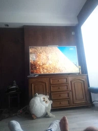 Телевизор Sony KD55XF7077SR2
