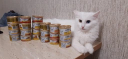 Корм для котів Gourmet Gold курка з соусом де люкс 85 г Purina