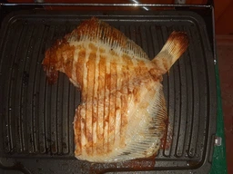 Гриль TEFAL SuperGrill GC451B12 фото от покупателей 11