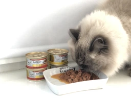 Влажный корм для кошек Gourmet Gold СОУС ДЕ-ЛЮКС с говядиной, 12 шт. по 85 г фото от покупателей 15