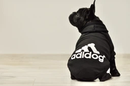 Толстовка для собак Adidog 5XL Рожевий