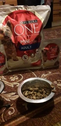 Корм консервований Purina One Mini/Small Adult для собак до 10кг з куркою морквою зеленою квасолею в підливі 85 г (8445290298263) фото від покупців 14