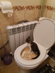 Набор для приучения кошек к унитазу CitiKitty Cat Toilet Training Kit, туалет для кошек, лоток фото от покупателей 9