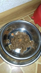 Вологий корм для собак малих порід Purina One з яловичиною картоплею та морквою в підливці пауч 85 г 1 шт (8445290298287) фото від покупців 16