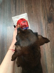 Корм консервований Purina One Mini/Small Adult для собак до 10кг з куркою морквою зеленою квасолею в підливі 85 г (8445290298263) фото від покупців 7
