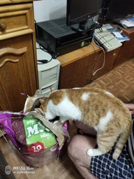 Сухий корм для кошек Муся Мікс М'яса 10 кг (4820097803676) фото від покупців 7