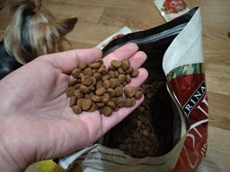 Сухий корм Purina One Mini/Small Junior для цуценят дрібних порід з куркою і рисом 800г.(7613035027022) фото від покупців 11