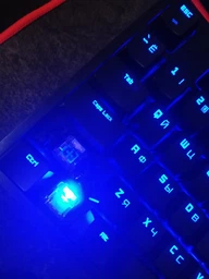 Ігрова клавіатура Hator Rockfall Mechanical Red Switches Yellow Edition UA ​​(HTK-602) фото від покупців 14