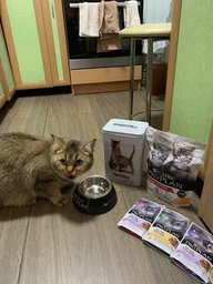 Сухой корм Purina Pro Plan Kitten <1 Healthy Start для котят с курицей 1.5 кг