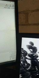 Монитор 24" Dell SE2416H Silver-Black (210-AFZC) фото от покупателей 4