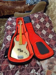 Чохол для бас-гітари GATOR GT-BASS-BLK фото від покупців 2