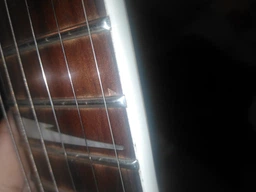Электрогитара Ibanez GRG121DX (225594) Walnut Flat фото от покупателей 7