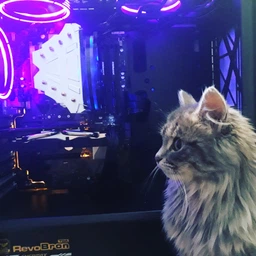 Корпус DeepCool Gamerstorm Macube 310P White фото от покупателей 5