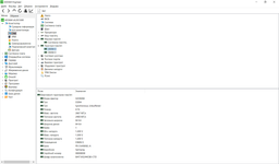 Ноутбук Lenovo IdeaPad S340-14API (81NB007NRA) Platinum Grey Суперцена!!! фото от покупателей 4