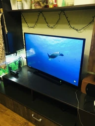 Телевизор Toshiba 40L2863DG SMART FHD фото от покупателей 14