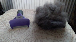 Фурминатор для котов с длинной шерстью FURminator размер L (691662) (4048422141280)