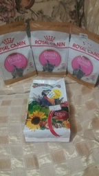 Корм для кошенят породи Британська короткошерста ROYAL CANIN KITTEN BRITISH SHORTHAIR 400 г (2566004) фото от покупателей 11