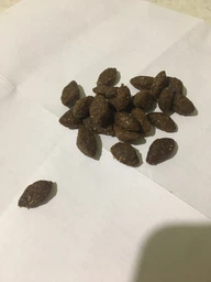 Сухий корм Brit Fresh Duck & Millet Active Run & Work для активних дорослих собак з качкою і пшоном 2.5 кг (170998/0823) фото від покупців 6