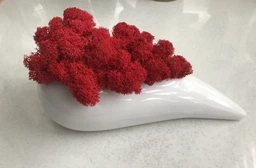 Стабилизированный скандинавский мох Scandia Moss красный 250 гр Red А14