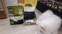 Сухой корм для щенков средних пород Acana Heritage Puppy Recipe 2кг фото от покупателей 4