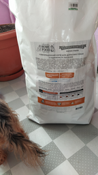 Полнорационный сухой корм для взрослых собак мини пород Home Food Dog Adult Mini для здоровой кожи и блеска шерсти «Индюшка и лосось», 10 кг (4828331571000/4820235020378)