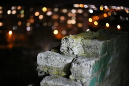 Canon EF 50mm f/1.8 STM фото от покупателей 2