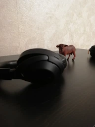 Наушники Sony WH-1000XM3 Black (WH1000XM3B.CE7) фото от покупателей 5