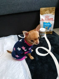 Вітаміни 8in1 Excel Multi Vitamin Puppy для цуценят та молодих собак, мультивітамін, 100 шт фото від покупців 16