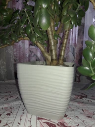 Горщик для квітів Form-Plastic Sahara міні Квадро-23 7,5 л антрацит (3650-014) фото від покупців 2