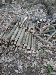 Ножівка Miol садова 500 мм (99-120) фото від покупців 6