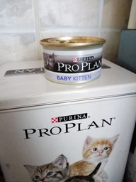 Вологий корм для кошенят Pro Plan Junior Chicken 85 г (курка)