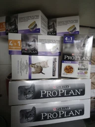 Упаковка влажного корма для котят Purina Pro Plan Kitten Healthy Start мусс с курицей 24 шт х 85 г (7613033568626/8445290673671)