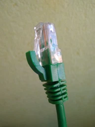 Патч-корд Cor-X UTP-CAT5e-4P-PVC-R-3 м (DS259338) фото від покупців 2