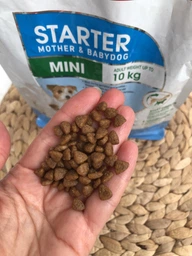 Сухой корм для собак мелких пород Royal Canin Mini Starter для беременности и лактации 1 кг фото от покупателей 5