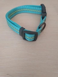 Нашийник для собак нейлоновий WAUDOG Nylon з QR паспортом світонакоплювальний пластиковий фастекс Ш 15 мм Дов 25-35 см (45622Collar)